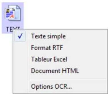 Texte simple Format RTF Tableur Excel Document HTML Options OCR...