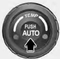 TEMP PUSH AUTO