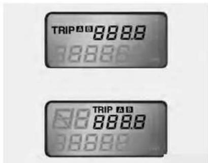 TRIP 888.0 888.0 TRIP 888.0 888.0