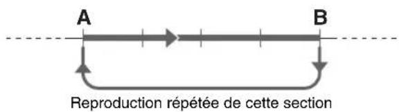 A B Reproduction répétée de cette section