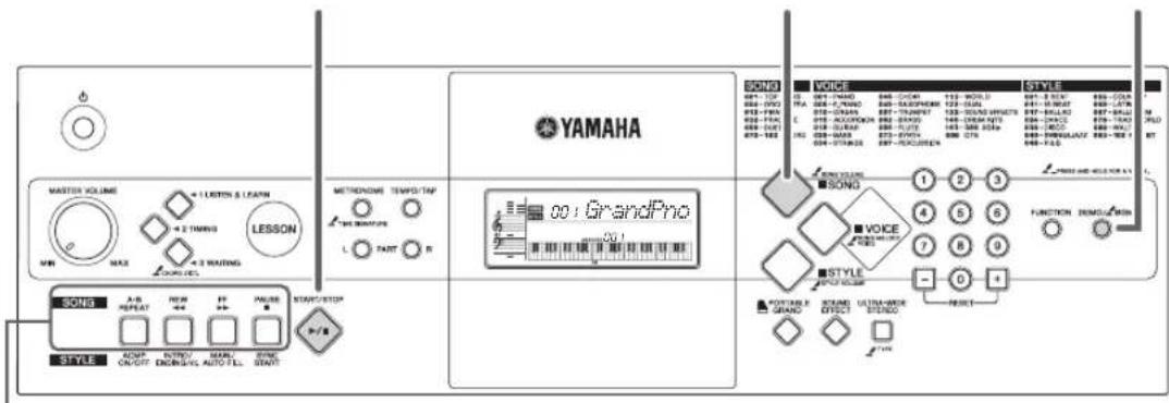 YAMAHA PSR-E233 - Aura Lee - 1