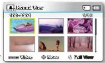 Normal View 100-0001 1418 Video Move Full View