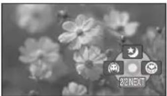 PANASONIC VDR-D210 - Tele macro function (VDR-D310) - 1