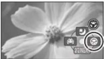 PANASONIC VDR-D210 - Tele macro function (VDR-D310) - 2