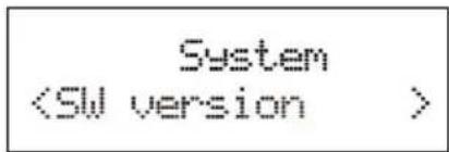 System