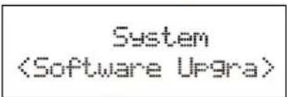 System