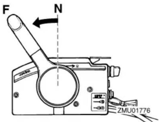 F N ZMU01776