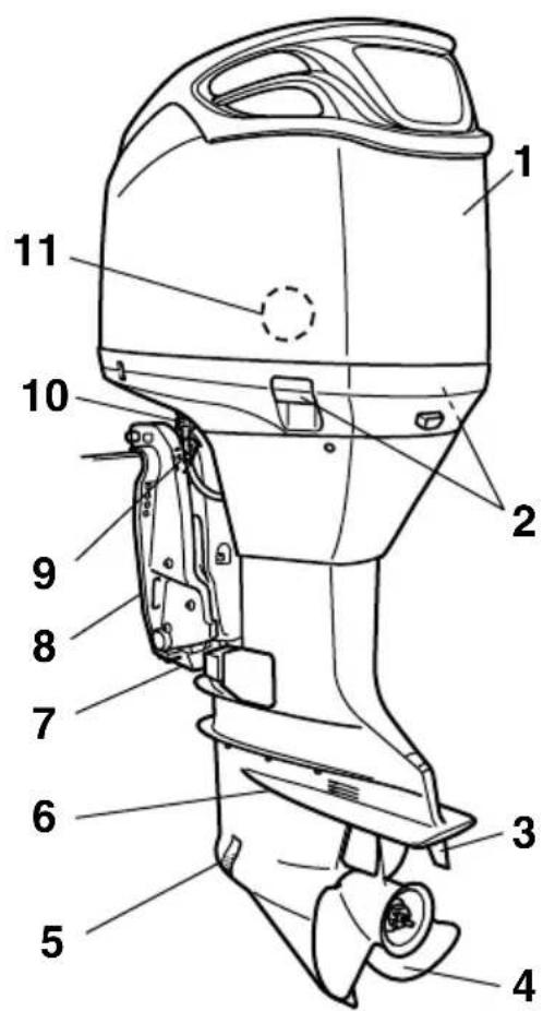 Technical diagram of a boat's internal components with numbered labels pointing to different parts.