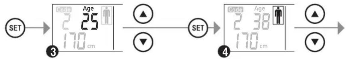 graph LR A["SET"] --> B["Code 2.25 cm Age"] B --> C["SET"] C --> D["Code 2.38 cm Age"] D --> E["SET"]