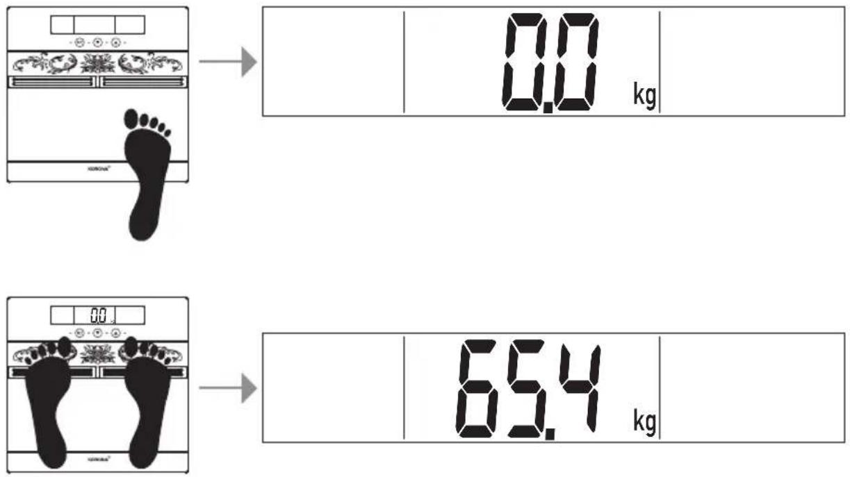 0.0 kg 65.4 kg