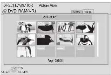 DIRECT NAVISATOR DVD-RAM(VR) Picture View 2006 9-12 0001 0002 0003 0004 0005 0006 0007 0008 0009 Page 001/001