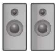 SAMSUNG HT-D5550K - Composants des enceintes - 1