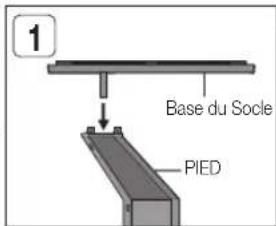 1 Base du Socie PIED