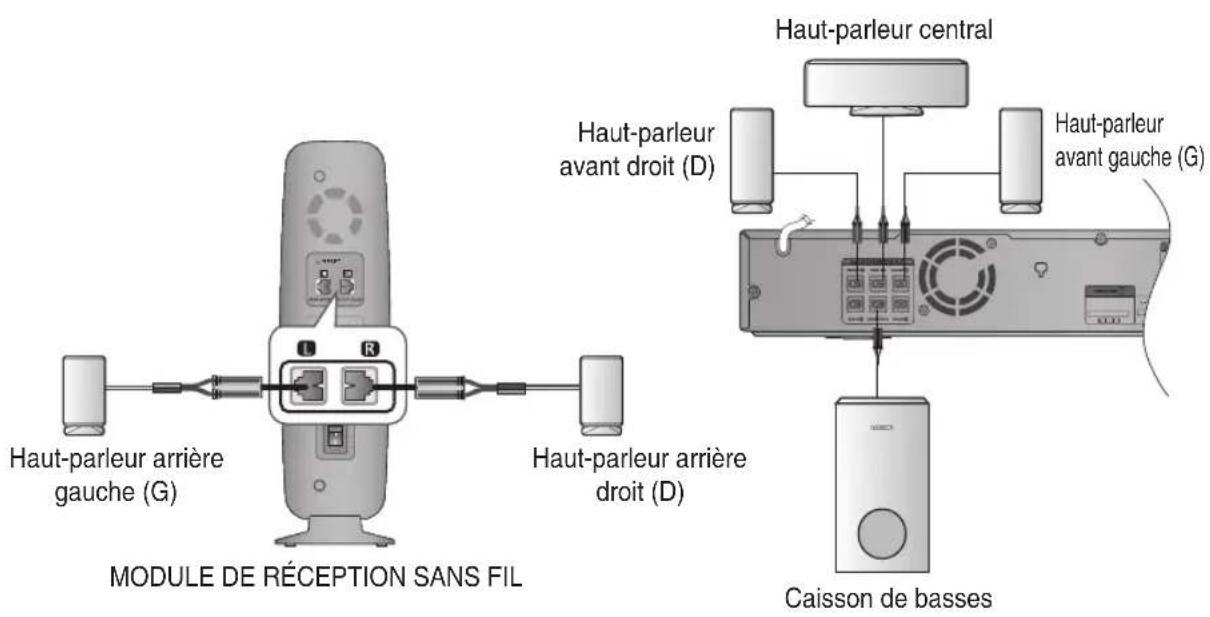 Haut-parleur arrière gauche (G) MODULE DE RÉCEPTION SANS FIL Haut-parleur arrière droit (D) Haut-parleur avant droit (D) Caisson de basses Haut-parleur central Haut-parleur avant gauche (G)
