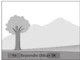 Reprendre Utiliser OK