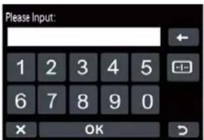 Please Input: 1 2 3 4 5 6 7 8 9 0 × OK