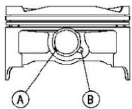 A B