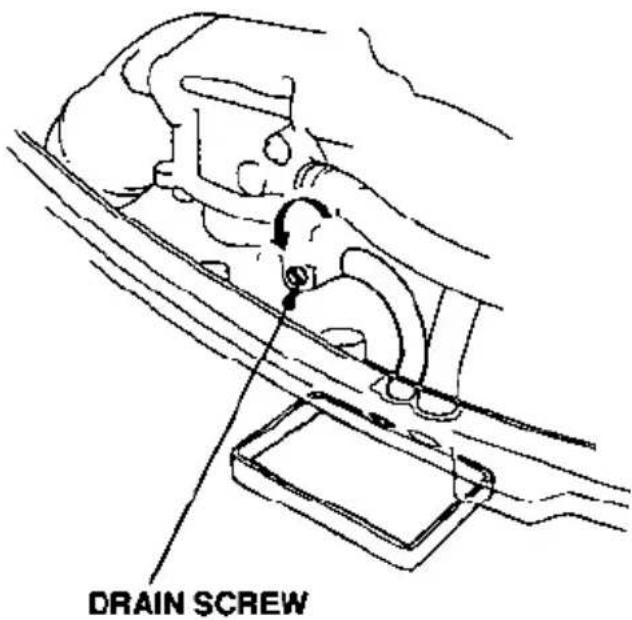 DRAIN SCREW