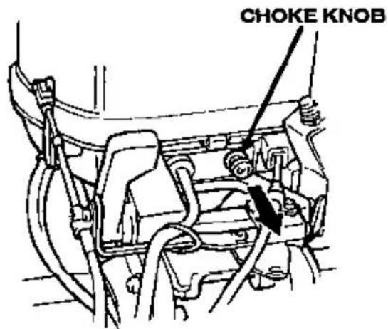CHOKE KNOB