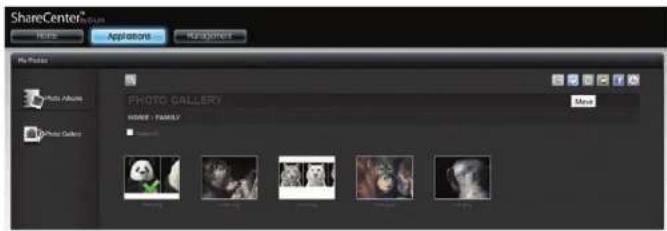 ShareCenter™ File Views Photo Gallery HOME : FAMILY Movie