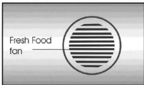 Fresh Food fan