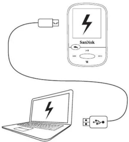 SanDisk >1 >1