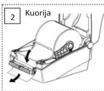 2 Kuorija