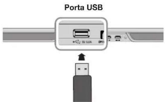 Porta USB 32 USA DP1