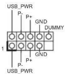 USB_PWR P- P+ GND DUMMY 1 GND P+ P- USB_PWR