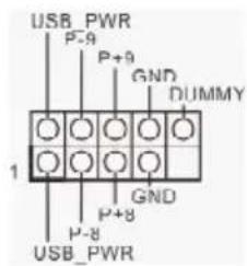 USB_PWR P-9 P+9 GND DUMMY 1 P-8 P+8 GND USB_PWR