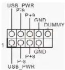 USB_PWR P-9 P+9 GND DUMMY 1 P-8 P+8 GND USB_PWR
