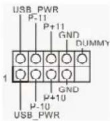 USB_PWR P-11 P+11 GND DUMMY 1 GND P+10 P-10 USB_PWR
