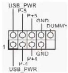 USB_PWR P-5 P+5 GND DUMMY 1 P-4 GND P-1 USB_PWR