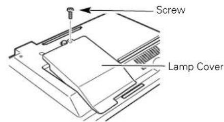 Screw Lamp Cover