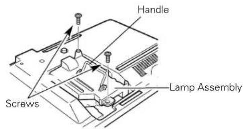 Handle Screws Lamp Assembly