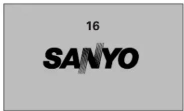 16 SANYO
