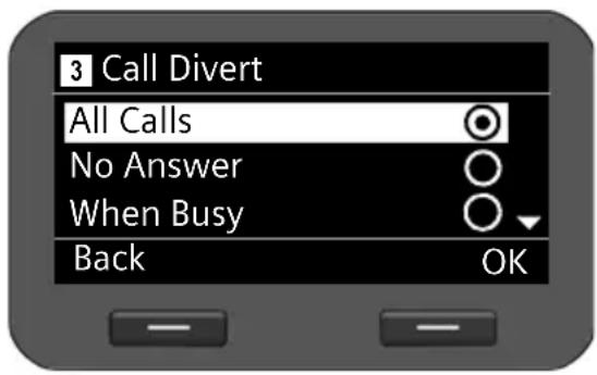 3 Call Divert All Calls No Answer When Busy Back OK