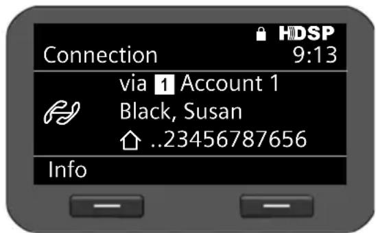 Connection 9:13 via 1 Account 1 Black, Susan ↑ ..23456787656 Info
