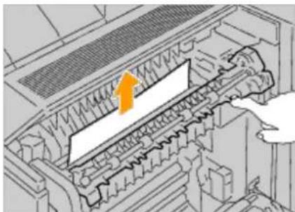 DELL 5130cdn - Clearing Paper Jams From the Fuser - 9