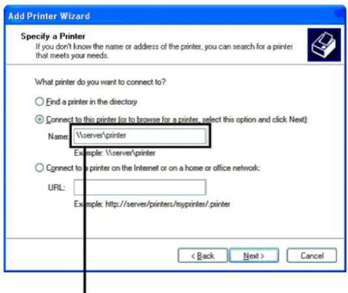 Add Printer Wizard Specify a Printer If you don't know the name or address of the printer, you can search for a printer that meets your needs. What printer do you want to connect to? ○ Find a printer in the directory ● Connect to this printer (or to browse for a printer, select this option and click Next): Name: \server\printer Example: \server\printer ○ Connect to a printer on the Internet or on a home or office network: URL: Example: http://server/printers/myprinters/.printer < Back Next > Cancel
