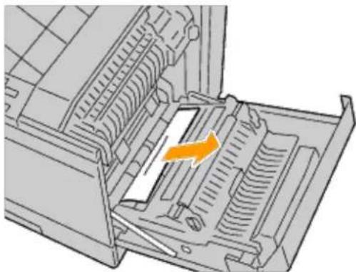 DELL 5130cdn - Clearing Paper Jams From the Standard Tray - 2