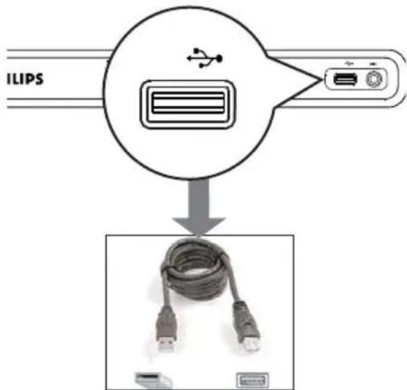 ILIPS