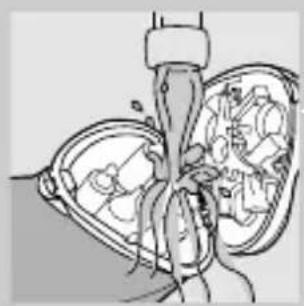 Anatomical illustration of a human heart with internal organs (no text or labels)