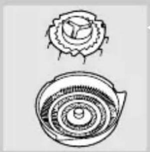 Two hand-drawn diagrams of a mechanical component, one top and one bottom, with no visible text or symbols.