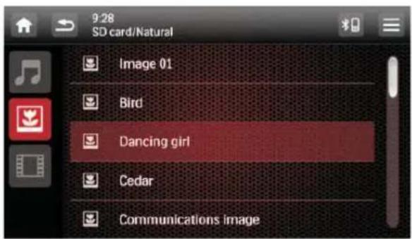 9:28 SD card/Natural Image 01 Bird Dancing girl Cedar Communications image