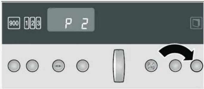 900 123 P 2 P kg