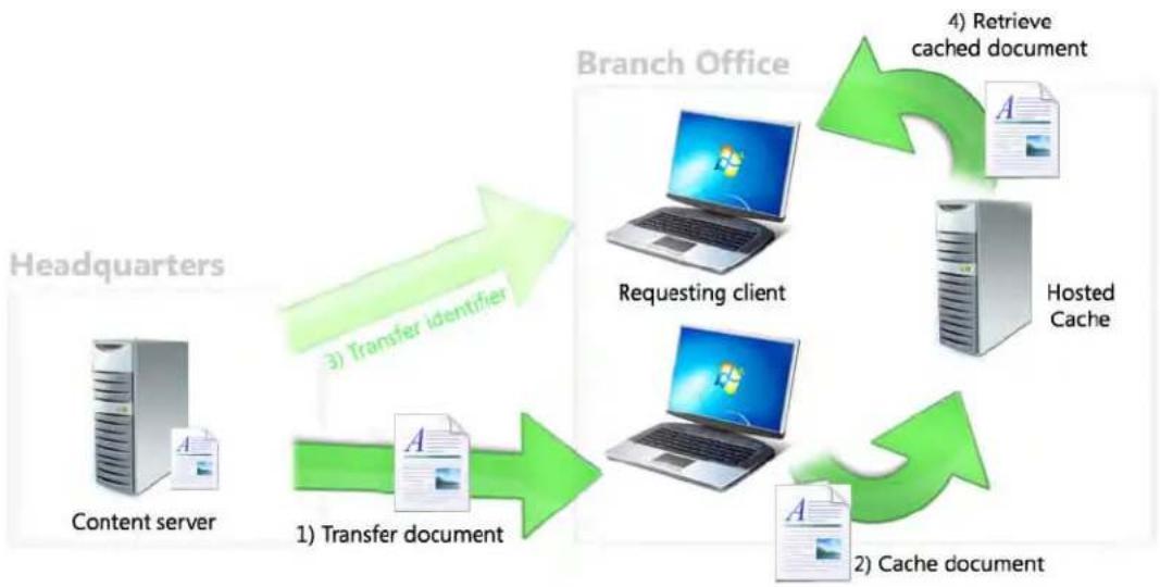 MICROSOFT Windows 7 Ultimate - BranchCache - 1