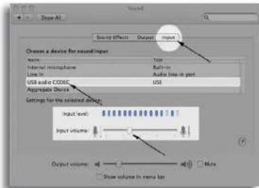 Sound All Sound Effects Output Input Choose a device for sound import Name Type Internal microphone Band-in Line 10 Audio line in port USB audio CODEC USB Aggregate Device Settings for the selected audio Input level: Input volume: Output volume: Show volume in menu bar More