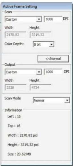Active Frame Setting Scan Custom 1000 DPI Width Height 2170.82 3319.32 Color Depth: 8 bit <