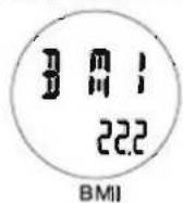 Pyle Speed Master PPDM5 - Odometer Save function - 2